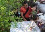 BioBlitzBcn 15-17 April 2016 participants, identifying species at the Montjuïc Hill and the adjacent Botanical Garden, in an event hosted by the Natural Sciences Museum in Barcelona