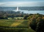 Geneva from the sky. Credits. Geneve Tourisme.jpg