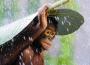 Andrew Suryono: Orangutan in the Rain